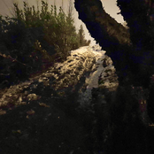 A Spectacle of Your Mind