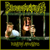 Isolation Apocalypse