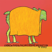 The Happy Birthday Song by Andrew Bird