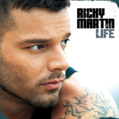 Save The Dance by Ricky Martin