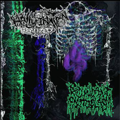 Hallucination Realized / Redundant Protoplasm