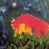 Meat Puppets: II