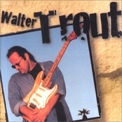 In Love With You Again by Walter Trout