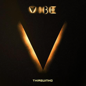 Thiaguinho: VIBE (Ao Vivo)