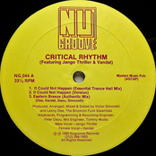 Critical Rhythm