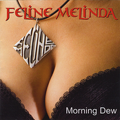 Morning Dew by Feline Melinda