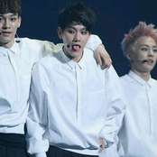 첸 (chen), 백현 (baekhyun), 시우민 (xiumin)