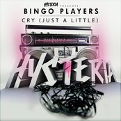 Bingo Players: Cry (Just A Little)