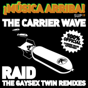 Raid: The Gaysex Twin Remixes