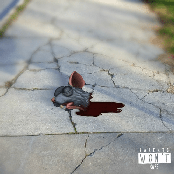 Kill Dyll: FVCK LIFE.