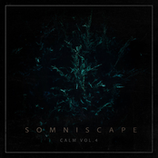 Calm, Vol. 4