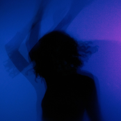 Director in the Dark