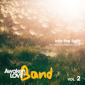 Into the Light, Vol. 2: Live from Alto Paraíso