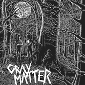 The Spy by Gray Matter