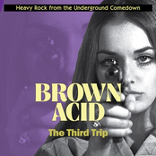 Grand Theft: Brown Acid 