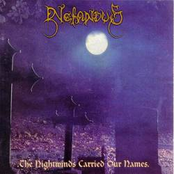 The Nightwinds Carried Out Our