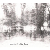 Lost In White Flame by Hum