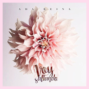 Voy Saltando - Single