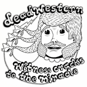 Witness Cracks To The Miracle