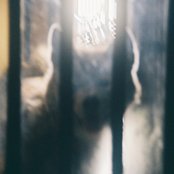 いつかのにほひ