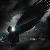 Eligh: Grey Crow