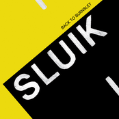 Sluik