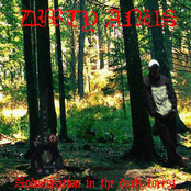 Sodomization in the dark forest