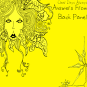 Answers From Back Panel