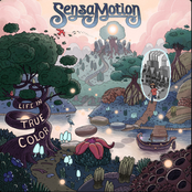 Sensamotion: Life in True Color