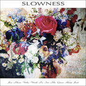 Race To Mars by Slowness