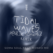 Tidal Waves (Henrik Schwarz Remix)