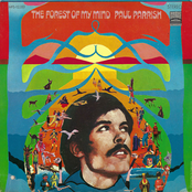 The Forest of My Mind