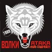 Волки