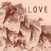 nuLOVE