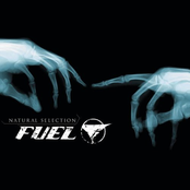 Down Inside Of You by Fuel