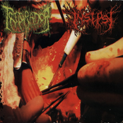 Triturador / Insepsy