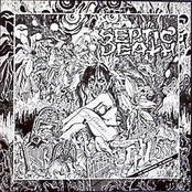 Now That I Have The Attention...