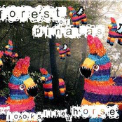 Forest Of Pinatas