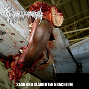 Stab and Slaughter Brachium
