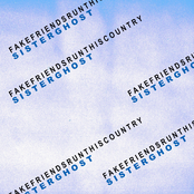 Fake Friends Run This Country