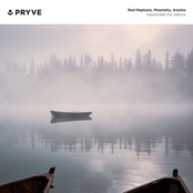 Appreciate the Silence