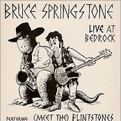 bruce springstone