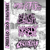 UNPALATABLE GORE OFFERING 4 Way Split