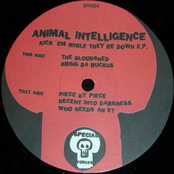 Kick 'em While They're Down