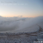 Do You Know How To Feel It? by The Diogenes Club