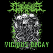 Vicious Decay