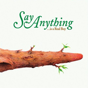 The Futile by Say Anything