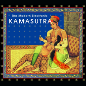 The Modern Electronic Kamasutra