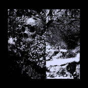 Untitled II