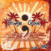 My Roots by Orange Grove